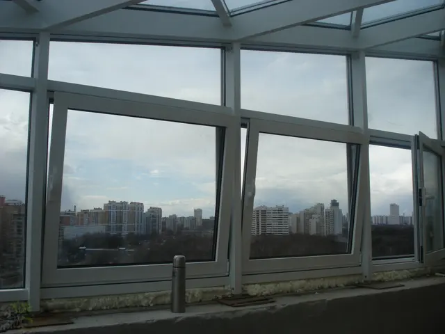 Зимние сады. Звенигородская — фотография 5